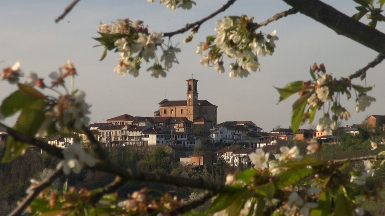 Revigliasco d'Asti | "Dolcetto o Scherzetto" in Oratorio