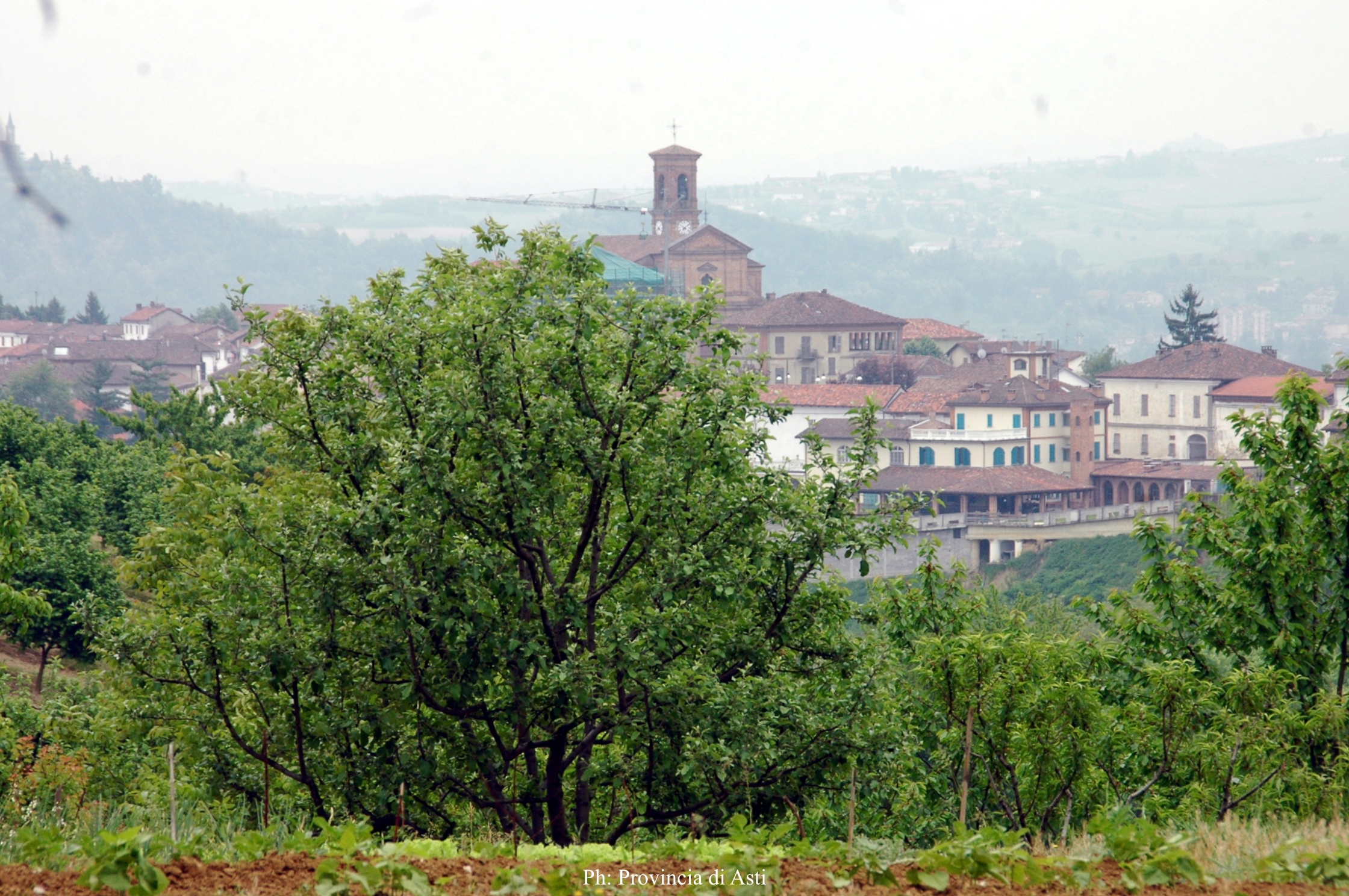 Revigliasco d'Asti | Pranzo di San Martino