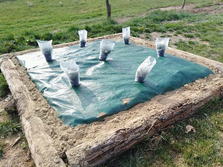 Inaugurazione nuova area verde